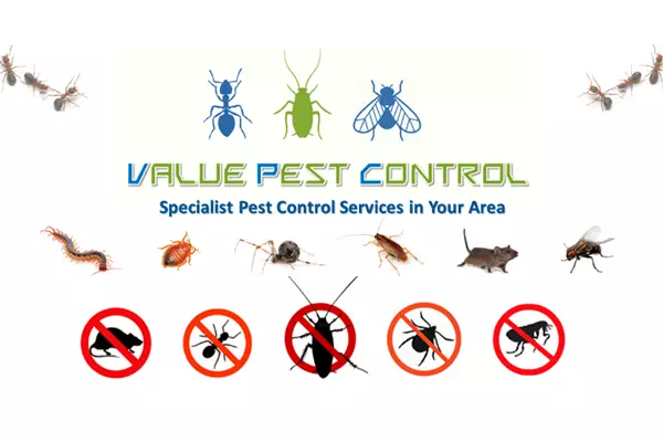 Value Pest Control